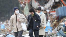 В январе в Китае зафиксировали пик смертности от птичьего гриппа
