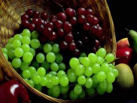 Исследование: Виноград нормализует обмен веществ