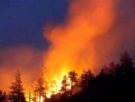 Лесной пожар повредил крупнейшую обсерваторию Австралии