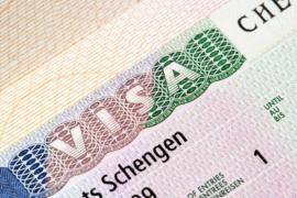 Русскоязычным иностранцам начнут выдачу виз для гражданства РФ